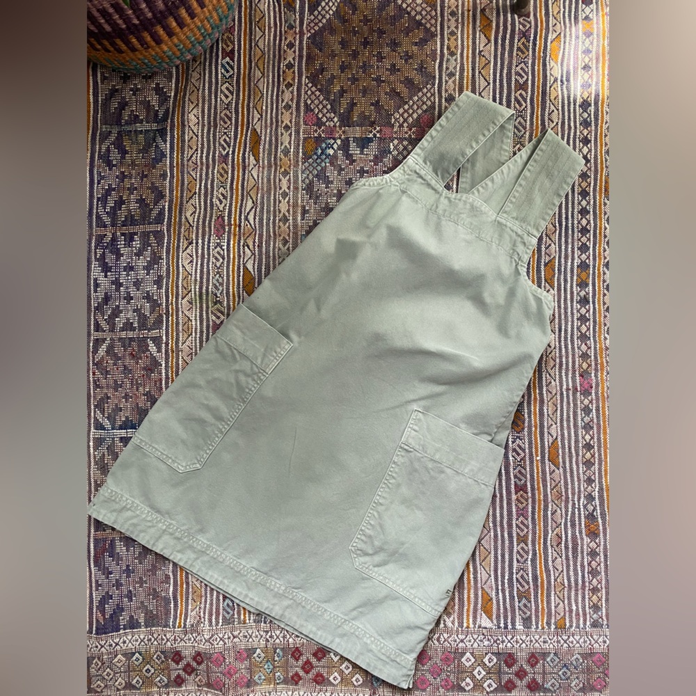 Everlane Apron Dress